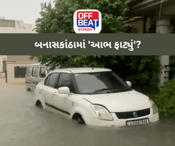 ગુજરાતમાં મેઘ તાંડવ!